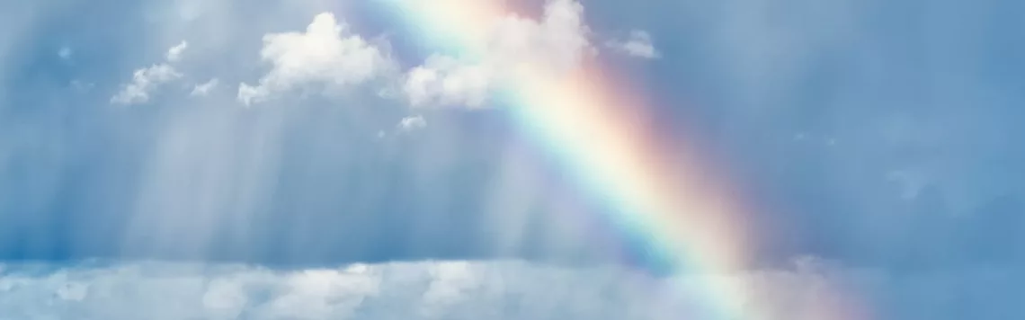 15. Mai | Tag 135 – Genesis 8,21