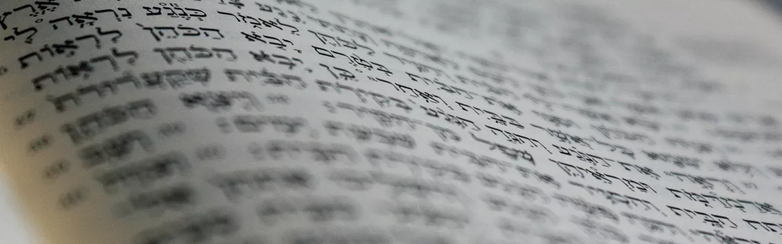 2. Juni | Tag 153 – Psalm 69,7