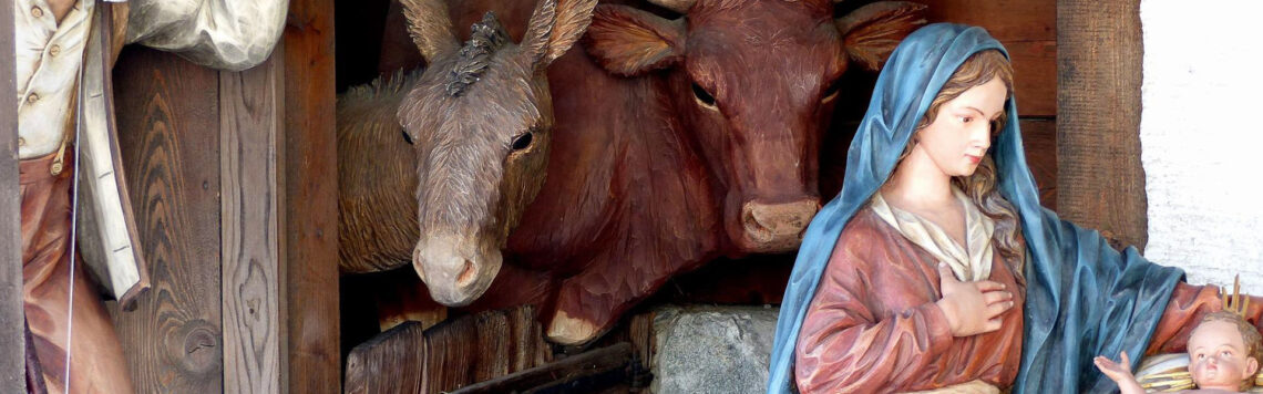 21. Juni | Tag 172 – Jesaja 1,3