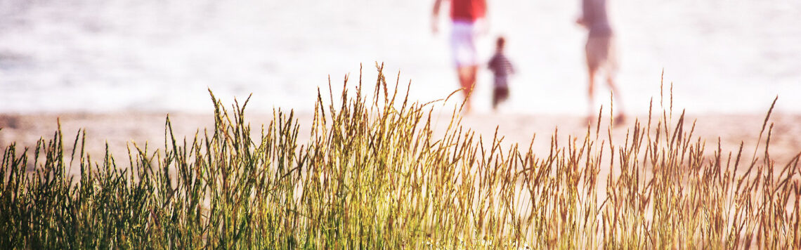 9. Juli | Tag 190 – Jeremia 16,2