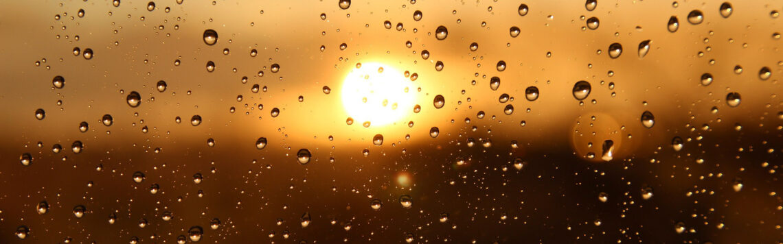 13. Juli | Tag 194 – Jeremia 31,33