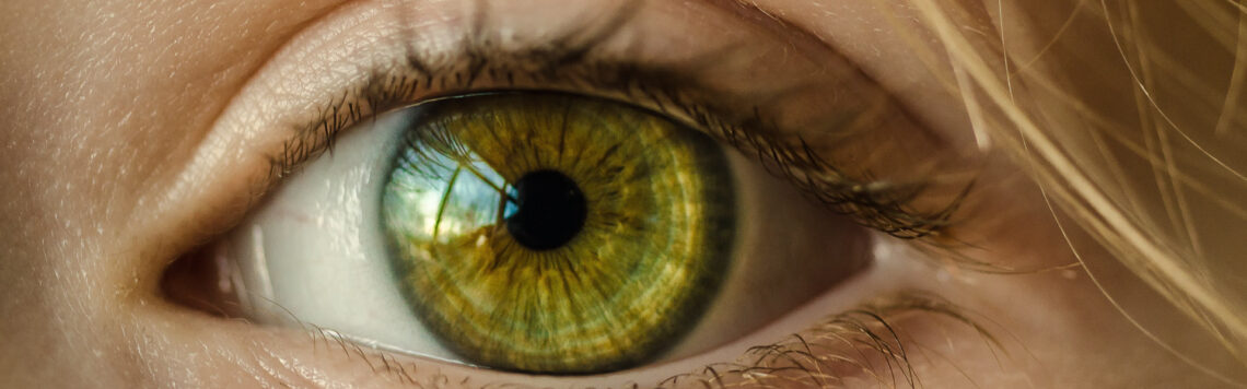 22. August | Tag 234 – Sacharja 2,12