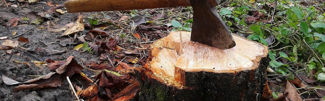 27. Februar | Tag 58 – 5. Mose 18-21