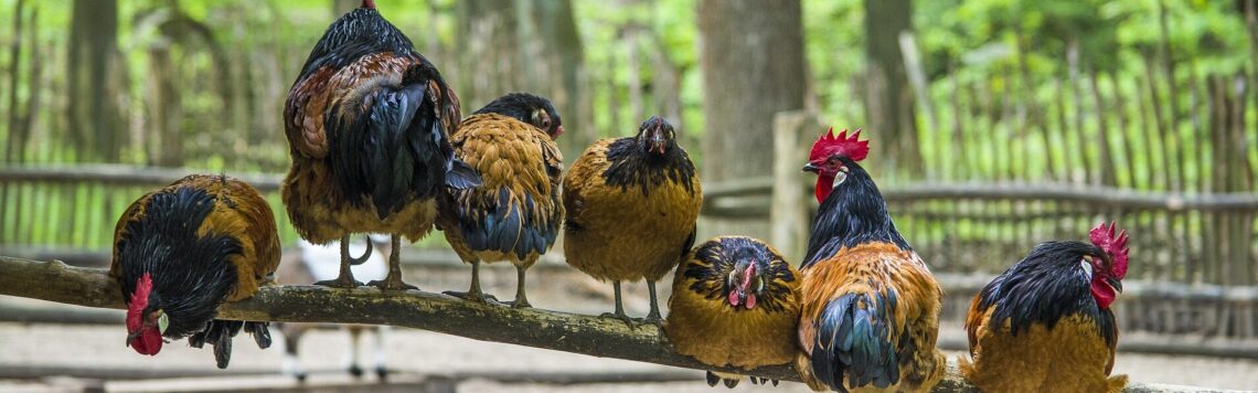 5. April | Tag 95 – 1. Könige 3,9