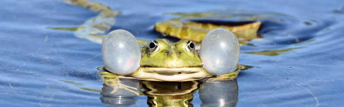 2. April | Tag 92 – 1. Korinther 8,1