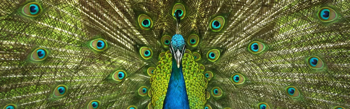 21. April | Tag 111 – 2. Korinther 11,30