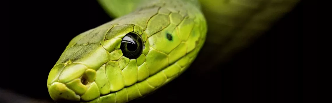 13. Mai | Tag 133 – Genesis 3,1