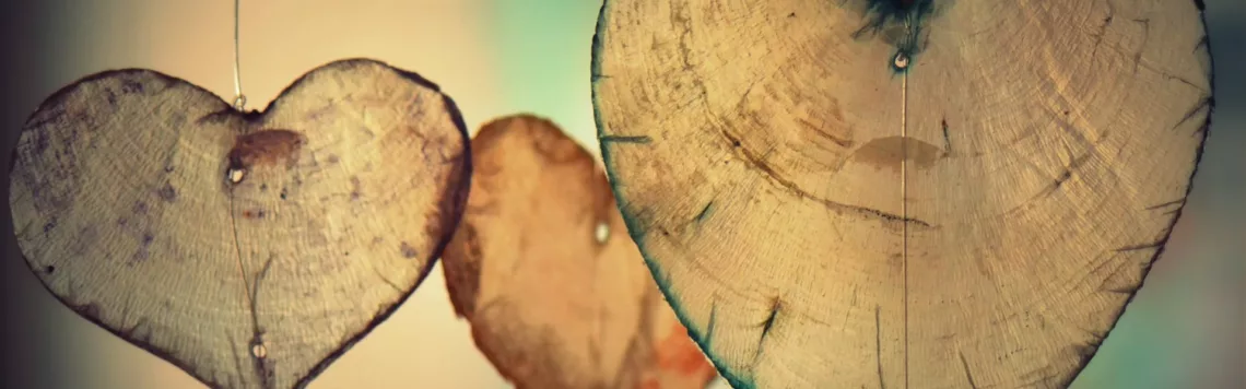 26. Mai | Tag 146 – Genesis 29,31