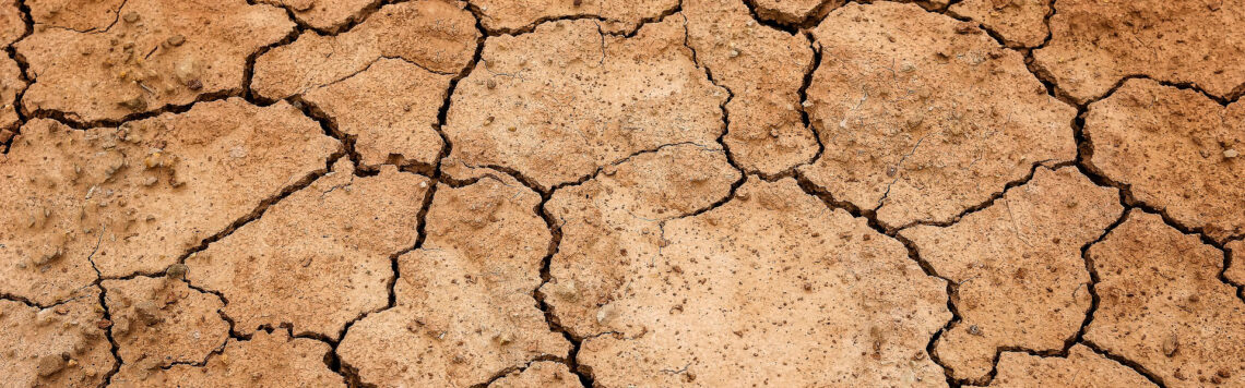 13. Juni | Tag 164 – Exodus 15,24