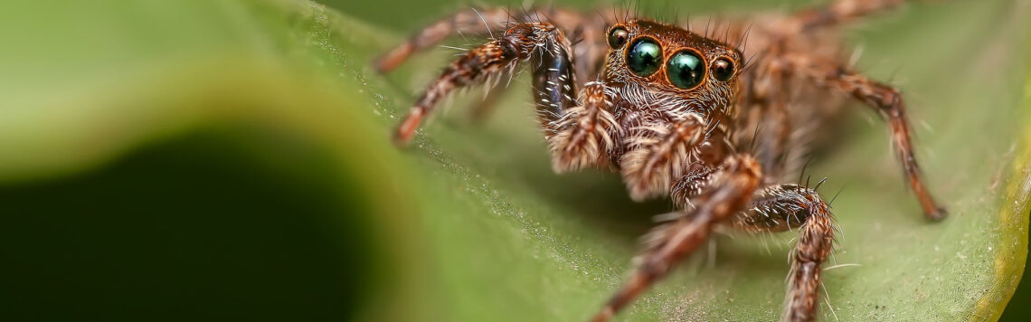 6. Juli | Tag 187 – Numeri 21,5