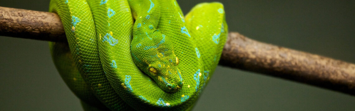 16. Juli | Tag 197 – Josua 5,13