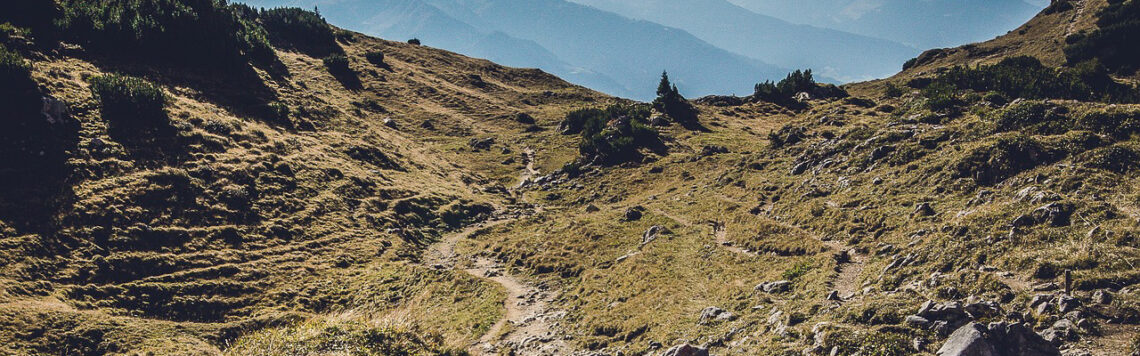 21. August | Tag 233 – 1 Samuel 26,9