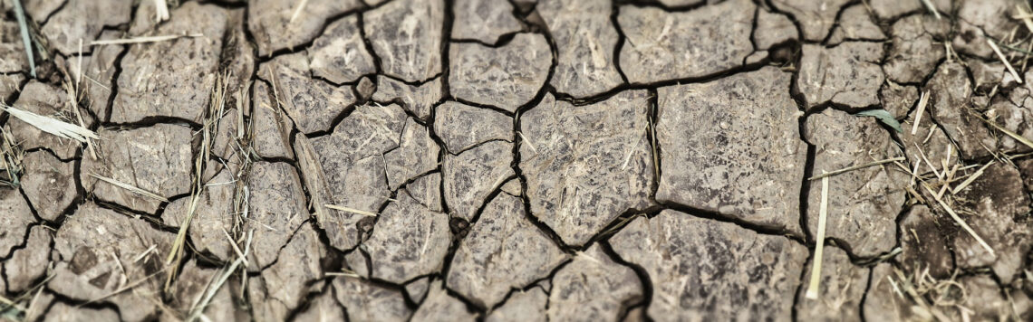 17. September | Tag 260 – 2 Könige 3,14