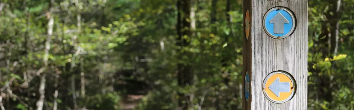 2. April | Tag 92 – 1. Petrus 1,20