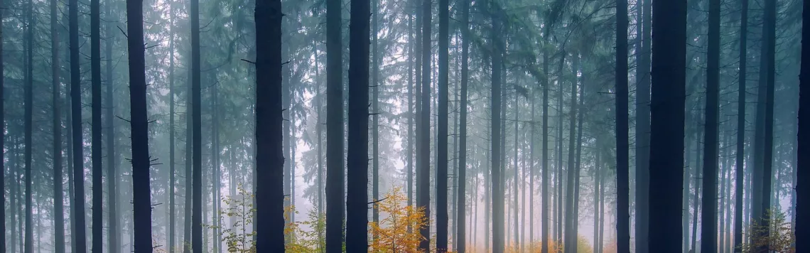 4. April | Tag 94 – 1. Petrus 3,22