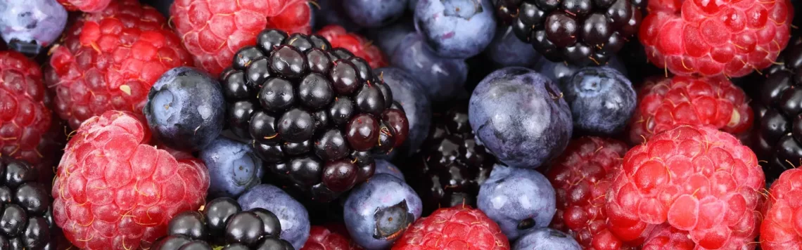 21. Mai | Tag 141 – Levitikus 25,4