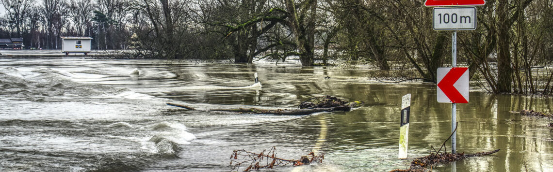 15. Juni | Tag 166 – 1 Chronik 14,11