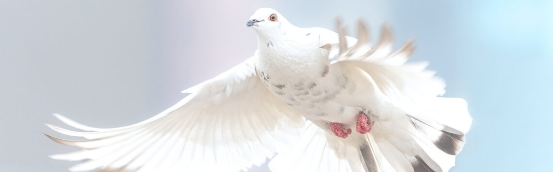 28. Juli | Tag 209 – Ester 9,28