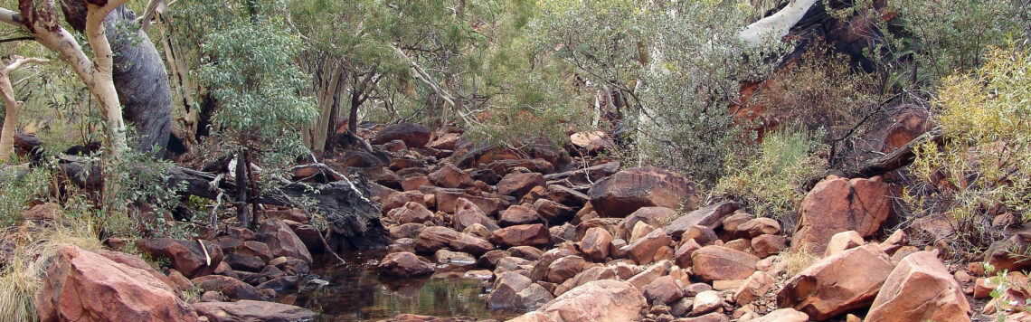 31. Juli | Tag 212 – Hiob 6,15