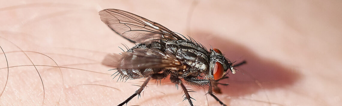 1. August | Tag 213 – Hiob 7,5