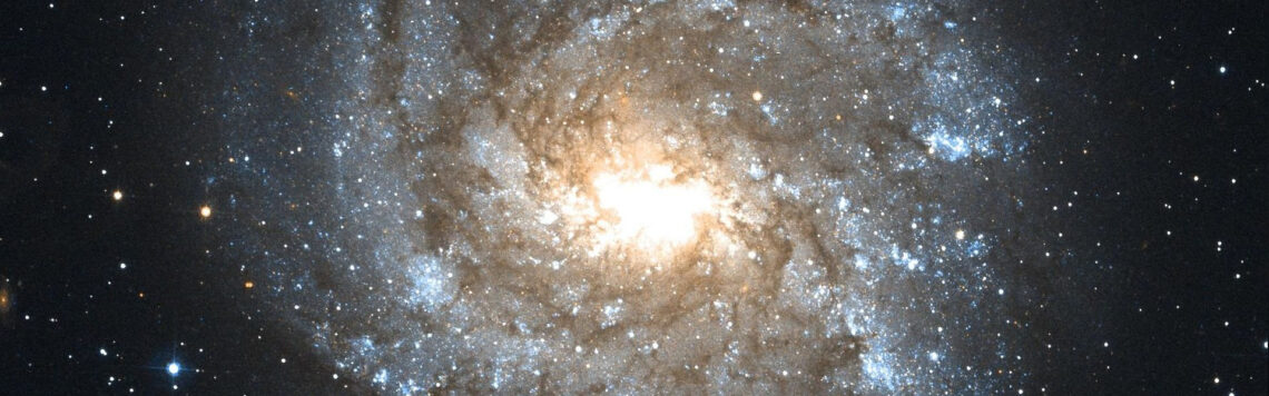 26. August | Tag 238 – Psalm 89,8