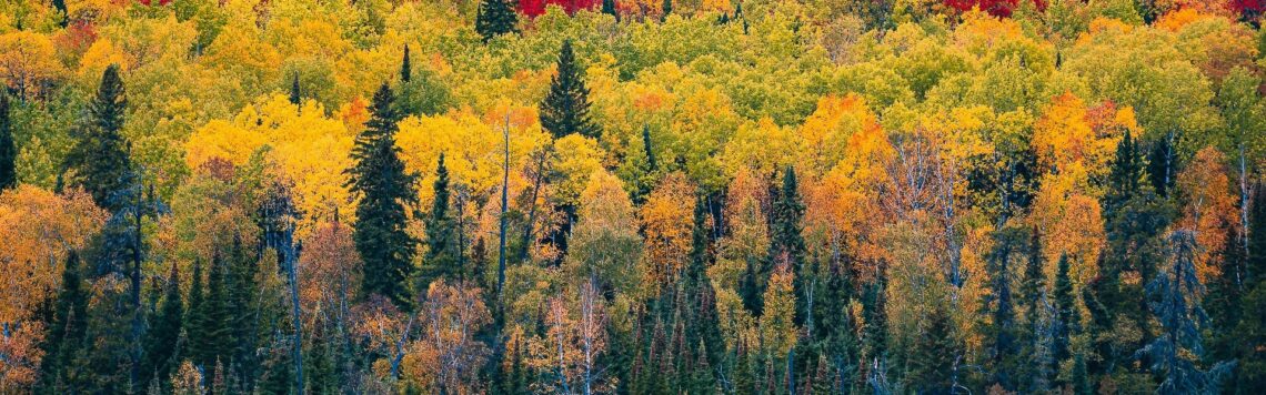 8. Februar | Tag 39 – Apostelgeschichte 4,6