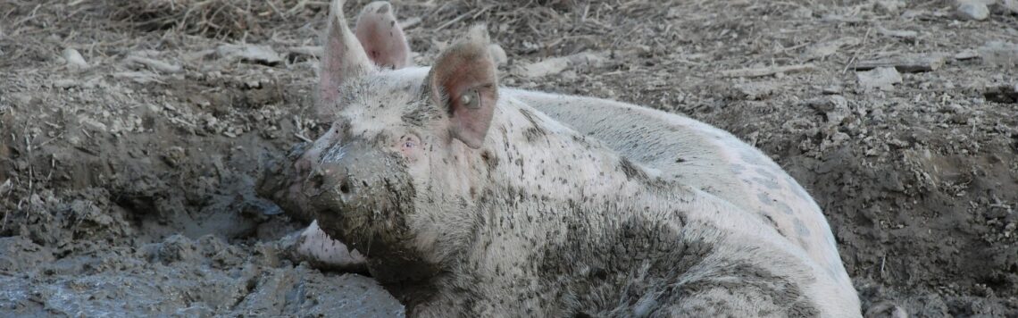 9. April | Tag 99 – Römer 6,6