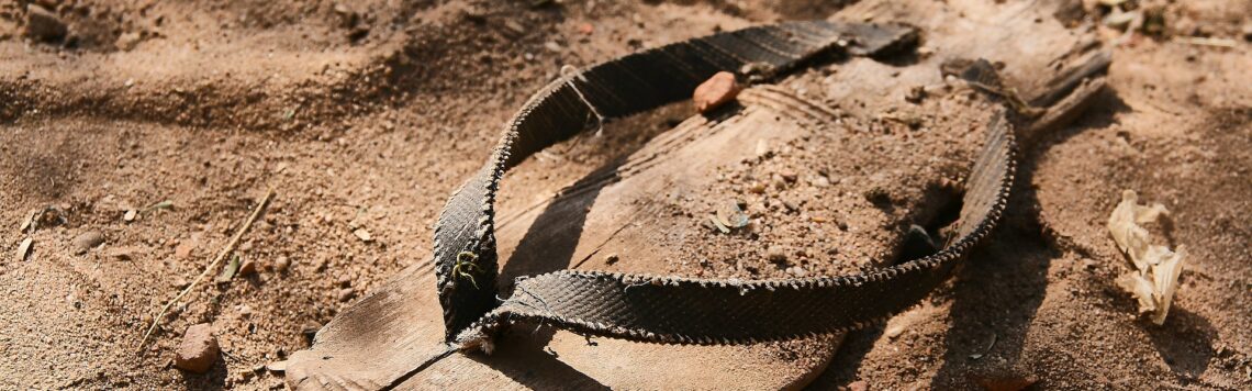 6. März | Tag 65 – Josua 9,14