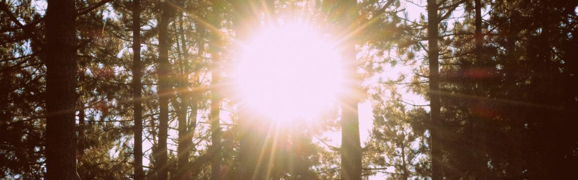 7. April | Tag 97 – 1. Könige 8,11